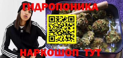 индика Нарткала