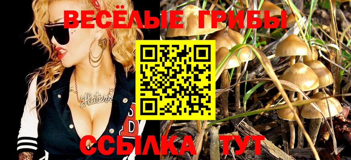 Галлюциногенные грибы GOLDEN TEACHER Ейск