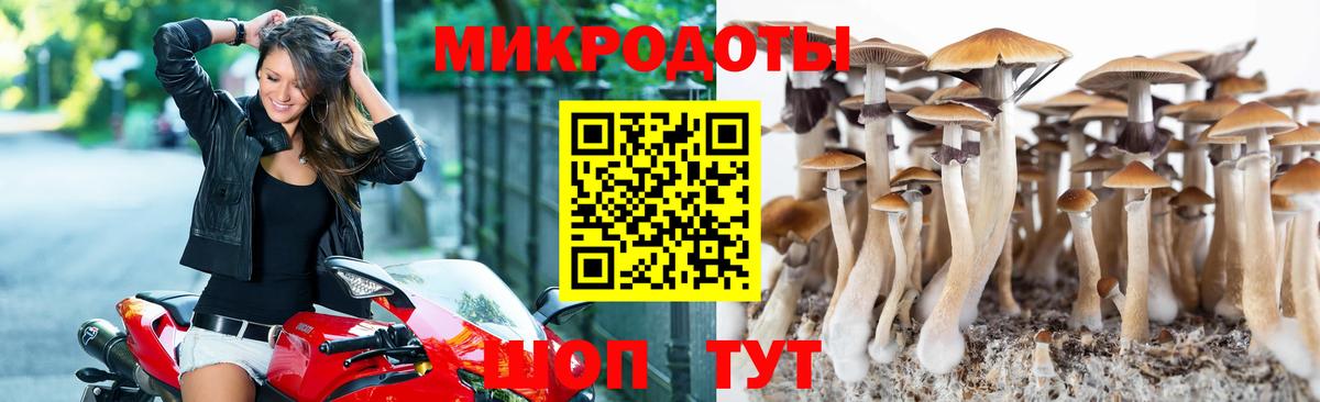 Галлюциногенные грибы ЛСД  Вход с VPN  Галлюциногенные грибы Cubensis  Ейск 